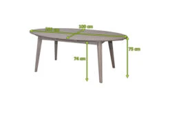 Ploß Arendal Diningtisch, Grau, FSC-Akazienholz, 200x100cm, Oval 12 Ploß Arendal Diningtisch, Grau, FSC-Akazienholz, 200x100cm, Oval -MBM Verkäufe 21641 5.jpg