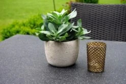 Ploß Rocking Dining Tisch, Grau/braun-meliert, Polyrattan, 90 X 90 Cm, Glasplatte In Steinoptik -MBM Verkäufe 4 20156.jpg