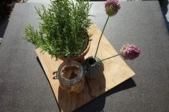 Ploß Rabida Dining Tisch, Champagner-meliert, Polyrattan, 90 X 90 Cm, Glasplatte In Steinoptik -MBM Verkäufe 4 20166.jpg