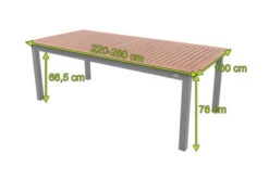 DOPPLER Expert Esstisch, Silber/Holzoptik, Aluminium, 220-280x100 Cm, Ausziehbar -MBM Verkäufe 5 20900.jpg